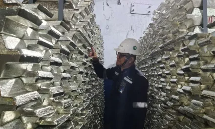 PT Timah Tunjukkan Pemulihan Kuat, Laba Tembus Rp 1,31 Triliun