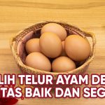 Tips Memilih Telur Segar Di Pasar, Perhatikan Bentuknya