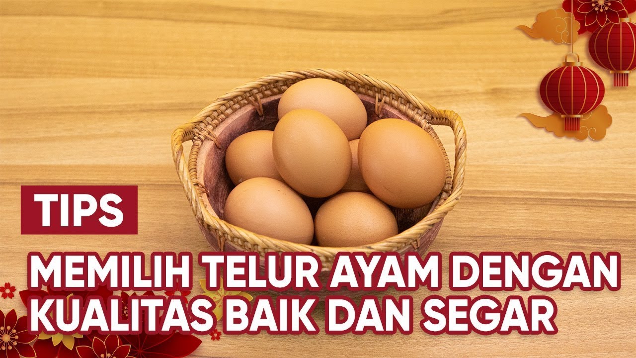 Tips Memilih Telur Segar
