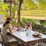 Cafe Citrus And Vine Miliki Desain Interior Sentuhan Tropis Indah