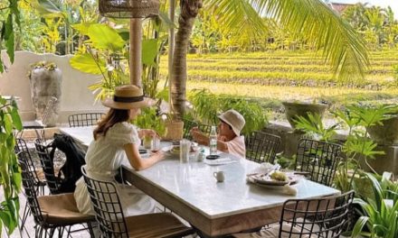 Cafe Citrus And Vine Miliki Desain Interior Sentuhan Tropis Indah