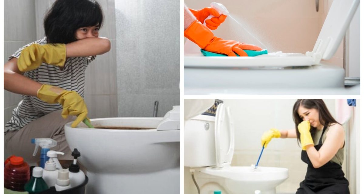 Rumah Bebas Bau: 9 Trik Mengatasi WC Bau Yang Wajib Di Coba