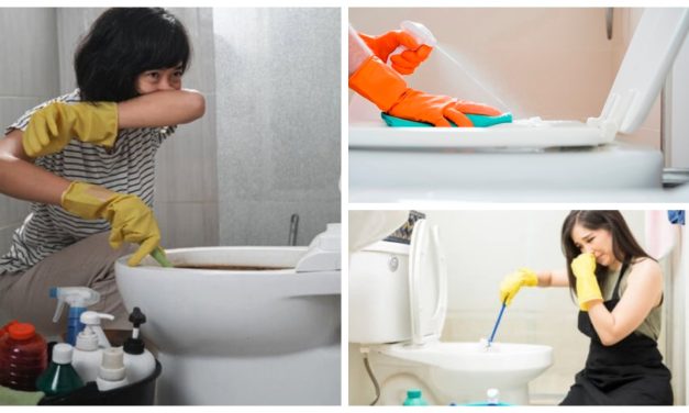 Rumah Bebas Bau: 9 Trik Mengatasi WC Bau Yang Wajib Di Coba