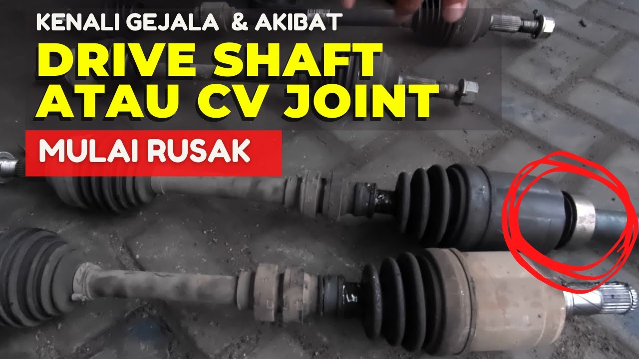 CV Joint